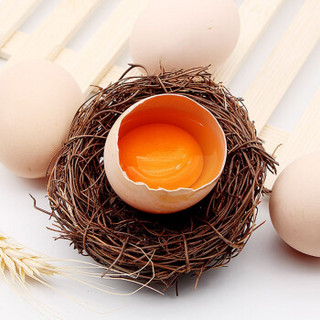 【西峡馆】农家土鸡蛋 柴鸡蛋 新鲜鸡蛋笨鸡蛋 40枚装