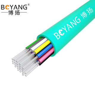 博扬（BOYANG）BY-GJFJV-24A1-OM4 24芯OM4万兆多模室内光缆光纤线网线 GJFJV束状软光缆 100米