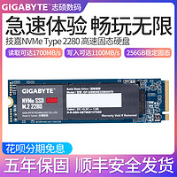 技嘉SSD 256GB 高速M.2接口 固态硬盘笔记本台式主机通用NVME协议