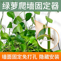 绿萝绿植爬墙固定神器无痕家用扣攀爬室内蔓藤植物墙上挂钩固定夹 中号（隐形绿植色）100个