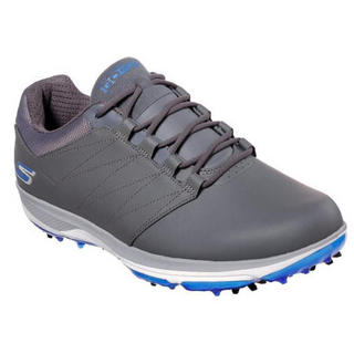 SKECHERS斯凯奇男鞋休闲运动鞋高尔夫球鞋系带54535 Gray/Blue 10