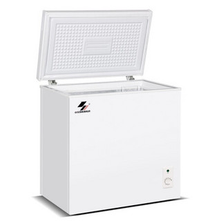 申花（SHENHUA）家用小型冰柜冷藏冷冻转换冷柜 节能省电卧式冰箱 BD/BC-228L  228升