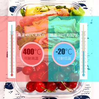 德玛斯 耐热玻璃保鲜盒 微波炉专用加热饭盒 冰箱收纳带盖密封储物便当碗餐盒 北欧蓝长1000ml