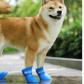 宠物狗狗鞋子防水雨鞋比熊泰迪小狗雨鞋猫鞋子衣服脚套鞋套 蓝色L
