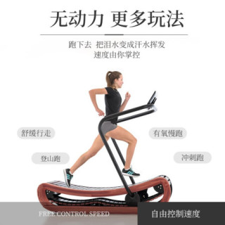 Waterrower 沃特罗伦跑步机 Waterrower德国nohrd家用健身器材无动力跑步机室内运动器材健身房专用梣木 染棕红色包装较大 请预判入户情况 详询客服 报价价格评测怎么样 什么值得买