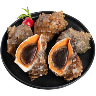 御鲜之王 鲜活大海螺新鲜花螺贝类 海鲜水产 烧烤食材 超大海螺1000g(8-10只) *2件