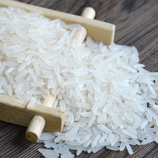 挂绿银香增城丝苗米10kg国家地理标志大米优质籼米非东北大米