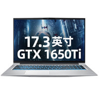 MACHENIKE 机械师 T系列 T90 Plus 17.3英寸 笔记本电脑 (银色、酷睿i7-10750H、8GB、256GB SSD+1TB HDD、GTX 1650Ti)
