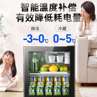 冰吧办公室酒店家用迷你单門冷藏微冷冻小型冰箱 BC-65黑色(冷藏+微冷冻+带锁)