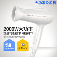 骆驼电吹风机家用大功率宿舍用学生网红款风筒发廊静音冷热风 飞科6232大功率2000W白色
