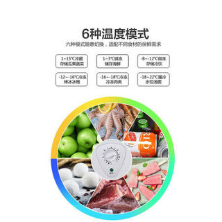 小型冰柜立式迷你冷柜冷冻保鲜柜商用型大容量冰柜 228 加厚款 106普通款