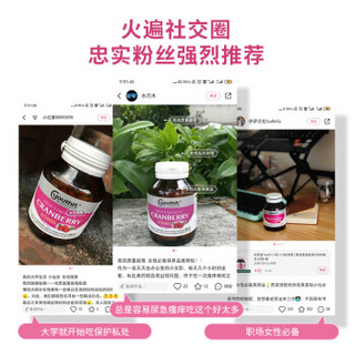 YouthIt 优思益 澳洲进口蔓越莓精华胶囊65000mg 呵护女性泌尿健康保养卵巢60粒