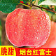 水果蔬菜  红富士苹果 10斤装 70-80mm