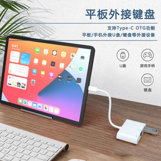 斯泰克 Type-C转百兆有线网口USB-C转RJ45转换器扩展坞网线转接头支持OTG/PD快充 iPad Pro/华为/小米手机