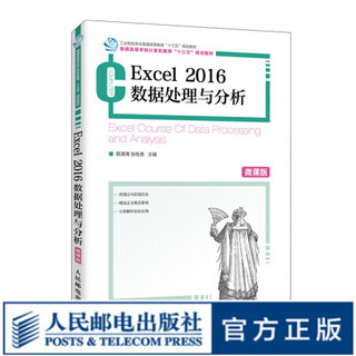 Excel 2016数据处理与分析（微课版）