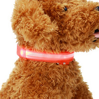 宠百思（PETBEST）宠物猫狗发光项脖圈猫泰迪大狗夜光项圈荧光项圈宠物用品 红色 L-号充电款