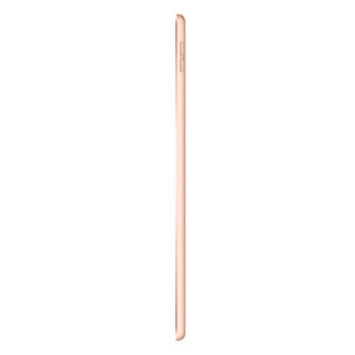 Apple 苹果 iPad 7代 2019款 国行 10.2英寸 平板电脑(视网膜屏幕、A10、3GB、128GB、WLAN版、金色、MW792CH/A)