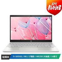 惠普(HP)星14-ce3029TX 14英寸轻薄笔记本电脑(i5-1035G1 8G 1TB MX250 2G FHD IPS)银