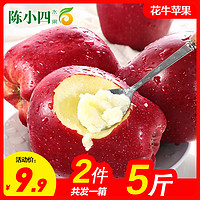 陈小四水果 甘肃天水花牛苹果2.5斤 单果70-75mm 红苹果 新鲜水果 生鲜水果 陈小四水果 其他