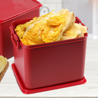 特百惠（Tupperware）醇美腌泡箱长方形密封保鲜储藏盒酵素泡菜食物DIY箱15.5L
