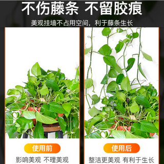 绿萝绿植爬墙固定神器无痕家用扣攀爬室内蔓藤植物墙上挂钩固定夹 中号（隐形绿植色）50个