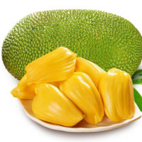 豆乐奇  海南菠萝蜜  20-26斤