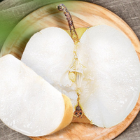 蝶入花 正宗秋月梨 大果 5斤