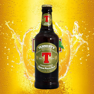 替牌（Tennent）IPA啤酒 英国进口T牌精酿啤酒 组合装330ml*6瓶