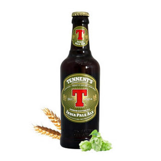 替牌（Tennent）IPA啤酒 英国进口T牌精酿啤酒 组合装330ml*6瓶