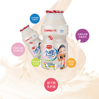 小样乳酸菌酸奶饮品牛奶整箱20瓶装批发早餐学生益生菌酸酸乳小瓶