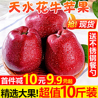 甘肃天水花牛苹果10斤新鲜当季水果红蛇果整箱应季粉面平果5包邮