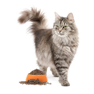 NOURSE 卫仕 膳食平衡系列 无谷低敏成猫猫粮 1.8kg
