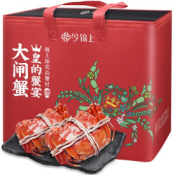 现货非礼券：今锦上 六月黄鲜活大闸蟹 1.5-1.9两/只 8只（公母随机发） *2件