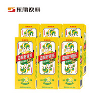 EASTROC 东鹏 由柑柠檬茶 250ML*6盒