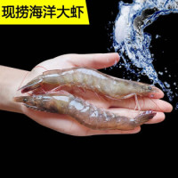 春瑞 海捕大虾基围虾 4斤