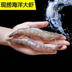 春瑞   海捕大虾基围虾   4斤