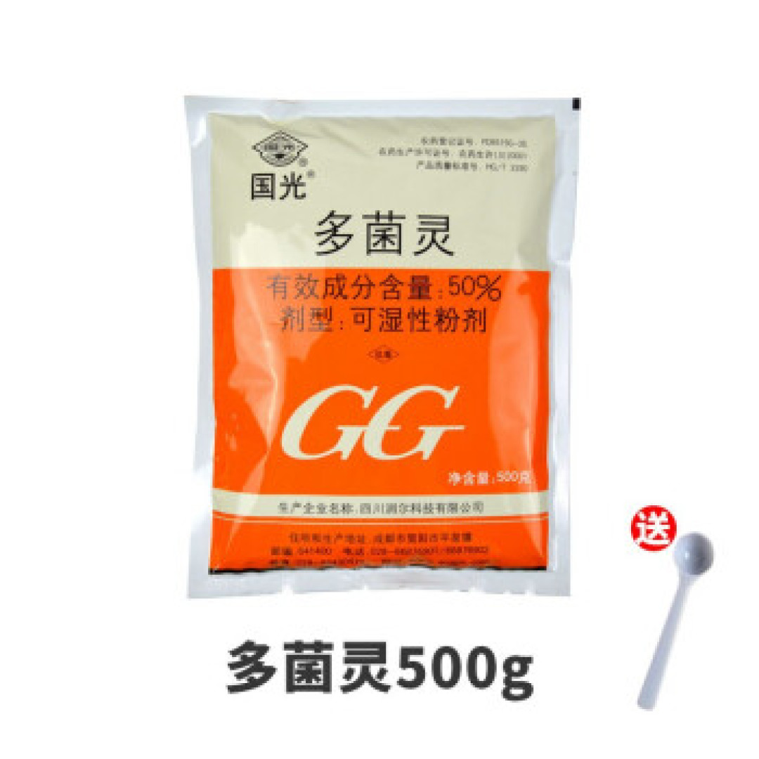 金边瑞香叶子发黑发软是怎么回事
