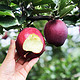 移动端：新鲜甘肃花牛苹果蛇果新鲜水果整箱当应季刮泥粉红苹果 9斤70-75mm（22-24个左右）