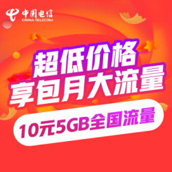 包月大流量包 10元5GB 国内流量