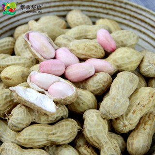 家美舒达 山东新鲜花生 约500g 带壳生花生 新鲜蔬菜