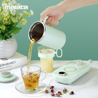 malata迷你养生壶燕窝炖盅多功能煮茶器办公室小型煮花茶壶养生杯