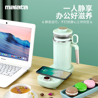 malata迷你养生壶燕窝炖盅多功能煮茶器办公室小型煮花茶壶养生杯