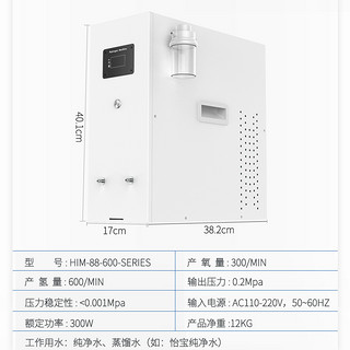 富氢机吸氢吸氧气混合家用制氢制氧机双孔出氢气发生器水素吸入器