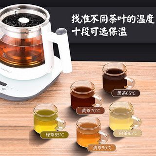 夏新煮茶器家用多功能黑茶煮茶壶小型全自动玻璃蒸汽电热养生壶