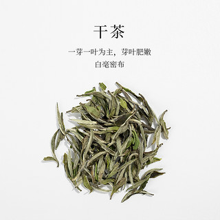 「北路白茶 」特级白牡丹散茶 2020白雪芽福鼎白茶特级白茶50g