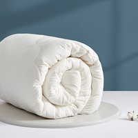 大朴家纺 A类被子 抗菌磨毛吸湿纤维被加厚保暖冬被透气 单双人春秋被 空调被芯 【春秋被】150*210cm重3.2斤