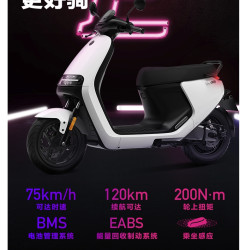 Ninebot 九号 智能锂电 E125 银色版 电动车
