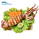 獐子岛 冷冻调味整条鱿鱼 500g（4-6条）袋装 半成品 火锅烧烤食材 海鲜 生鲜 *7件+凑单品