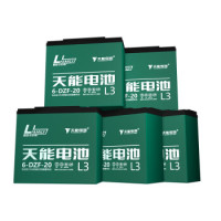 天能 铅酸60v20ah 电动车电池(5只 以旧换新)
