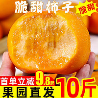 脆柿子水果新鲜3斤当季整箱包邮应季现摘大果甜柿火晶黄硬柿子10